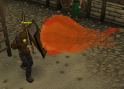 Squire Killed