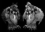 Moonkins