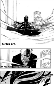 C271 cover page