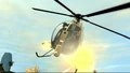 Buzzardgold2