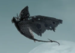 Rakkinishu 1
