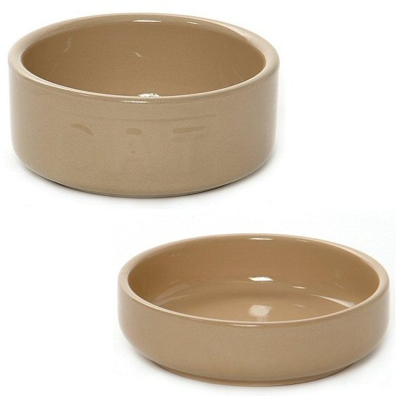 cats bowls