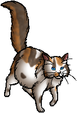Die WindClan-Chroniken Poppyfrost.queen