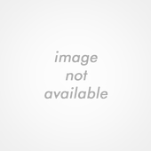 Noimage-big