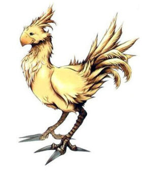 Chocobo