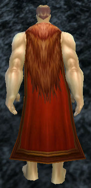 Cindercloth Cloak, Stone Background, Human Male