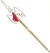 Windspear (FFA)