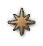 Map icon