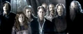 Order of the Phoenix (close-up at Harry Potter's parents).JPG