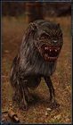 http://stalker.wikia