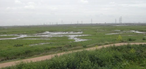 View from the visitor centre