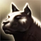 Cg ico race dog