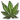 Hemp