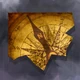 Atlantis Map2