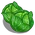 Cabbage-icon