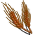 Red Wheat-icon