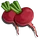 Sweet Beets-icon