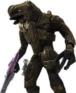 Arbiter