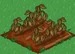 Ghost Chili withered
