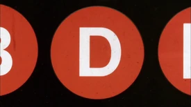 MurrayD01.jpg