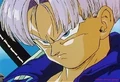 Trunks5