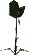 Withered Deku Baba