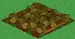 Cabbage withered