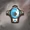 Paladins oath