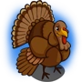 Turkey transform