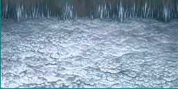 http://images4.wikia.nocookie.net/__cb20091226230113/finalfantasy/images/e/e0/FFIV_Moon_Interior_Background_GBA.png