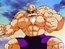 Maestro roshi max power
