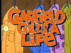 Garfieldgetsalifetitle.png