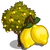 Lemon Tree-icon.png