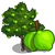 Lime Tree-icon.png