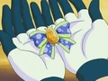 EP367 Cinta Calagua