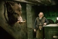 Abelforth Dumbledore.jpg
