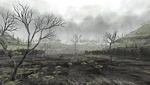 Oldswamp
