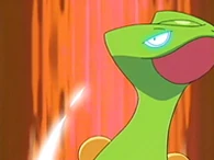 EP405 Sceptile detección