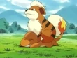 EP033 Growlithe