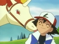 EP033 Rapidash lamiendo a Ash