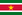 Flag of Suriname