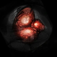Ing orb