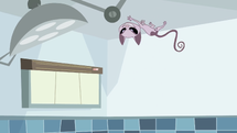 KatUpsideDown.png