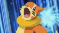 EP628 Buizel usando puño hielo(2)