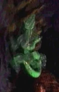Unmasked-reptile12
