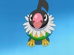 EP584 Chatot