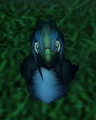 Beware the Chilly.png