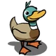 Duck-icon