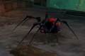 Night Web Spider.jpg