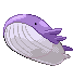 Wailord E variocolor